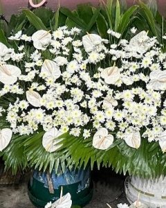 Casket & flower garden set up #1
